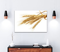 Obraz Farma Pšeničné klasy 1774